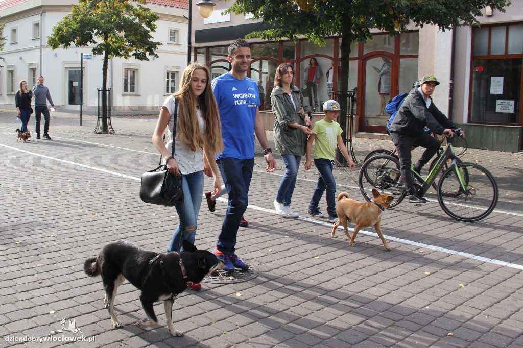 Światowy Dzień Zwierząt