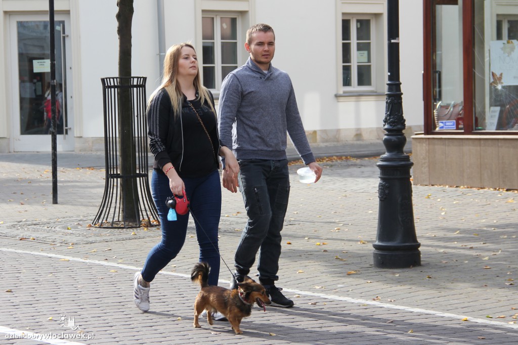 Światowy Dzień Zwierząt