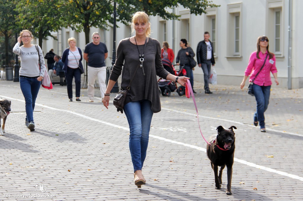 Światowy Dzień Zwierząt
