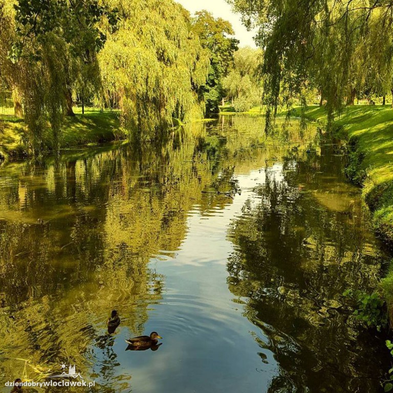 Zwycięzcy Włocławek Insta Photo City
