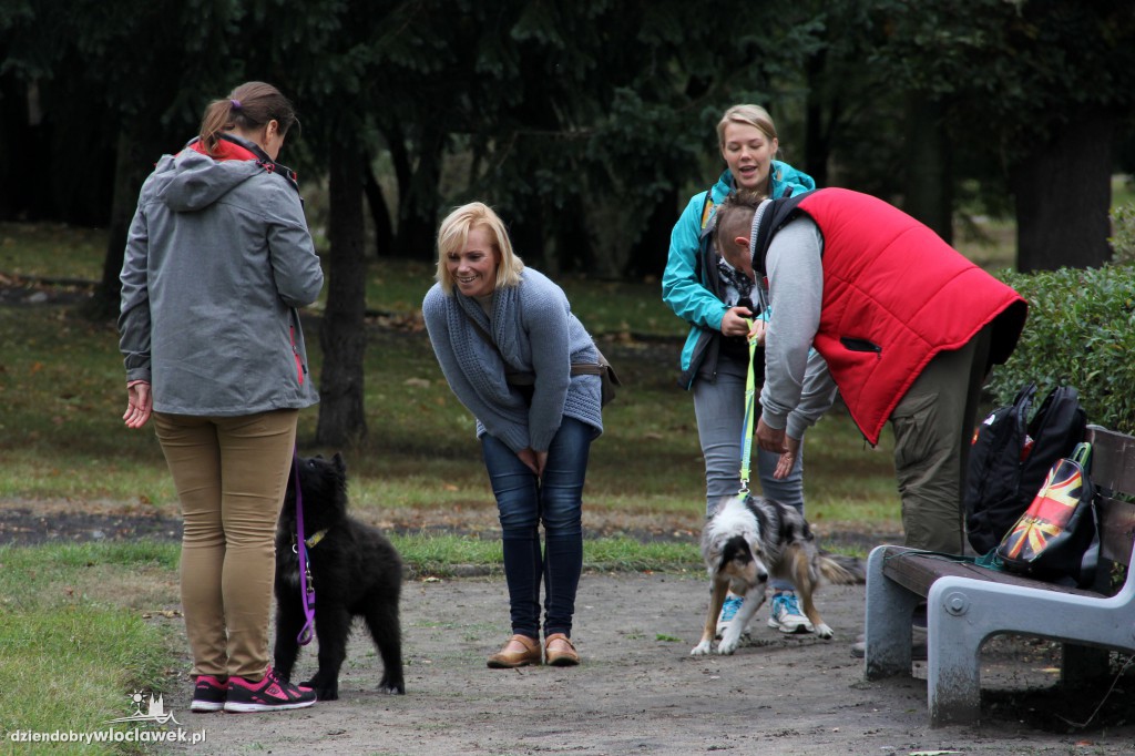 II Fotospacer z Czworonogami