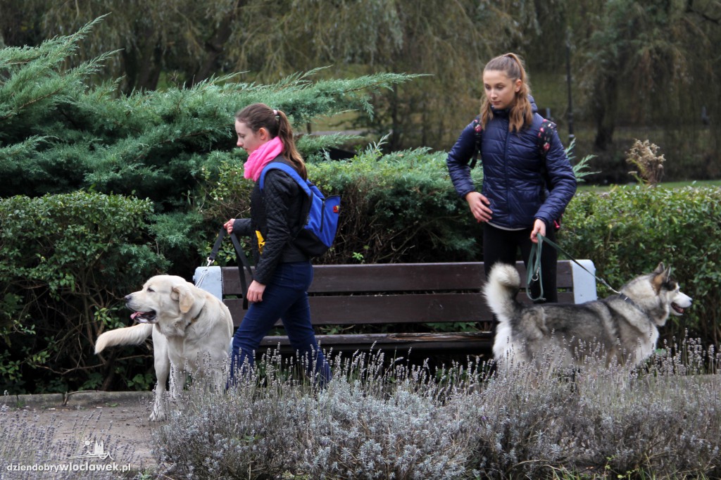 II Fotospacer z Czworonogami