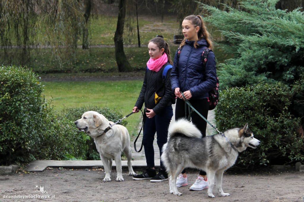 II Fotospacer z Czworonogami