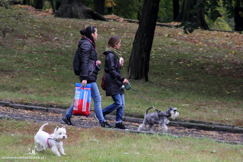 II Fotospacer z Czworonogami