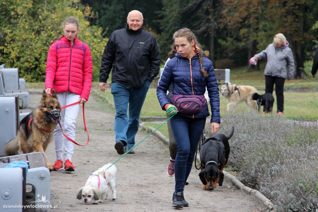 II Fotospacer z Czworonogami