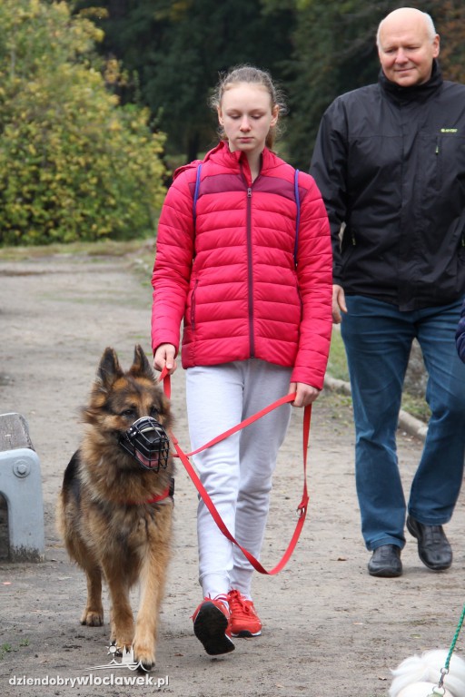 II Fotospacer z Czworonogami