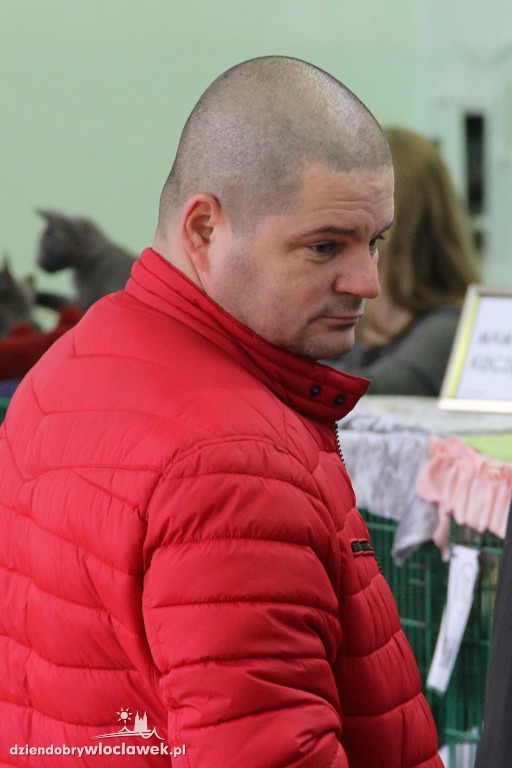 Pokaz Kotów Rasowych