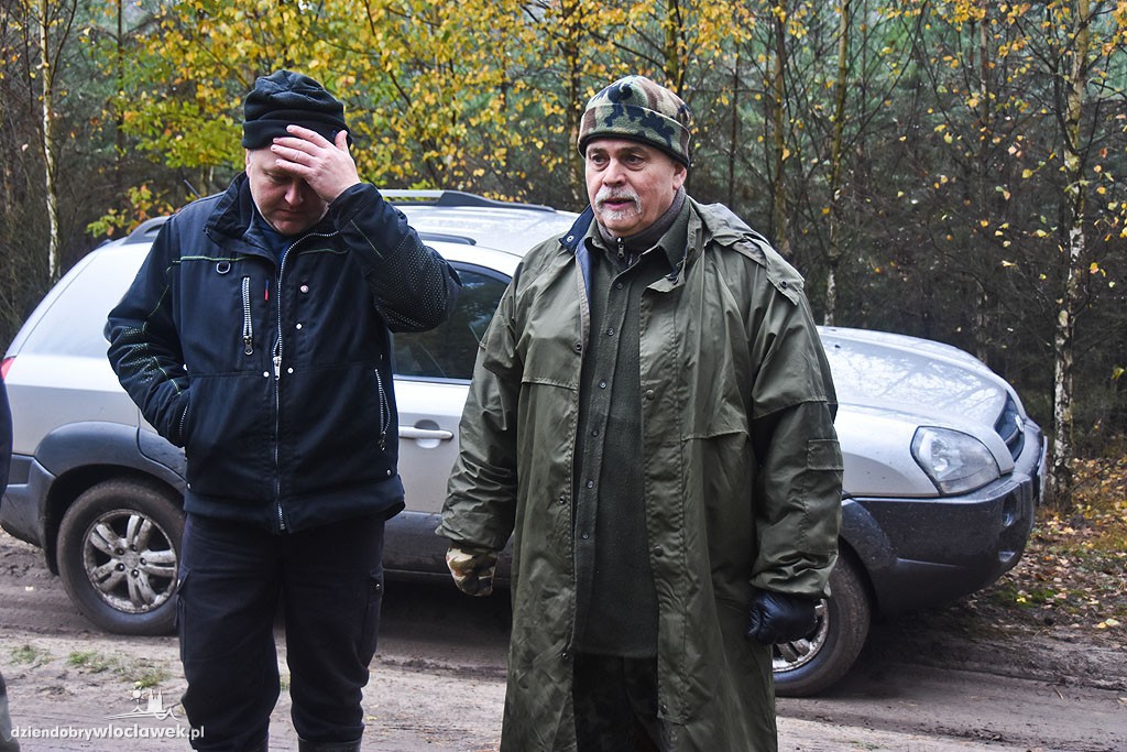 Liczenie dzików w lesie pod Włocławkiem