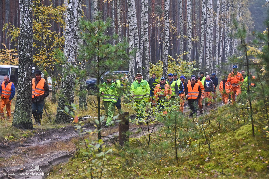Liczenie dzików w lesie pod Włocławkiem