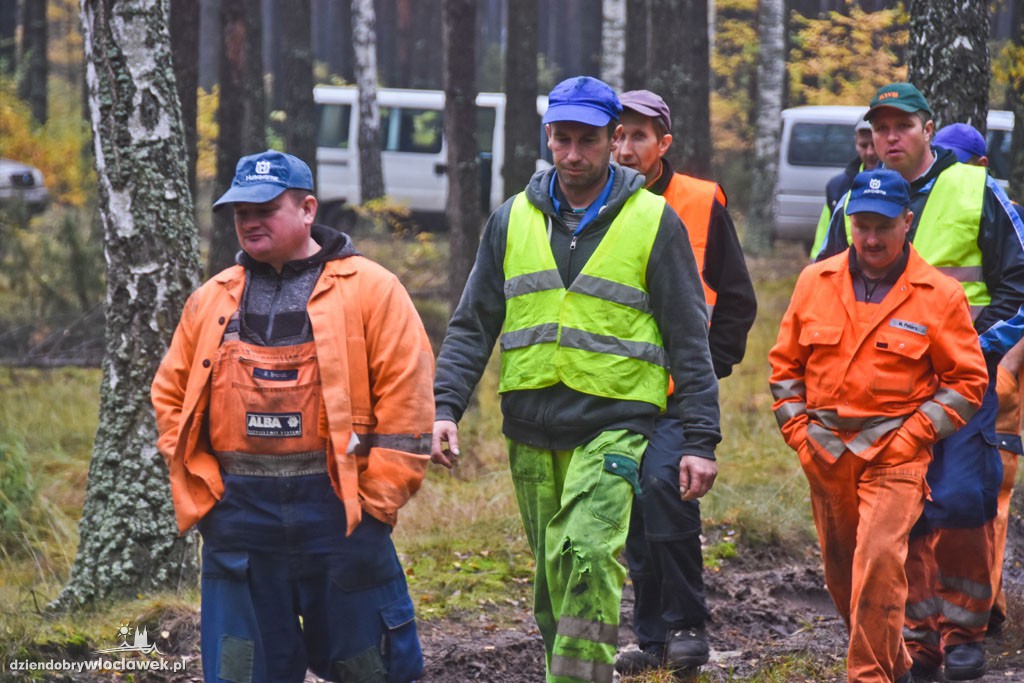 Liczenie dzików w lesie pod Włocławkiem