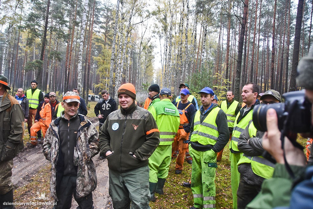 Liczenie dzików w lesie pod Włocławkiem