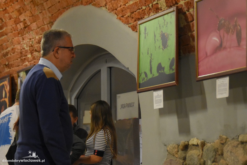 Fotografia dzikiej przyrody