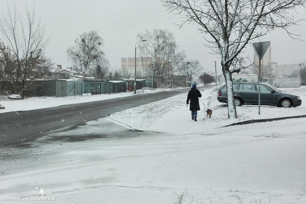 Śnieżna zima we Włocławku