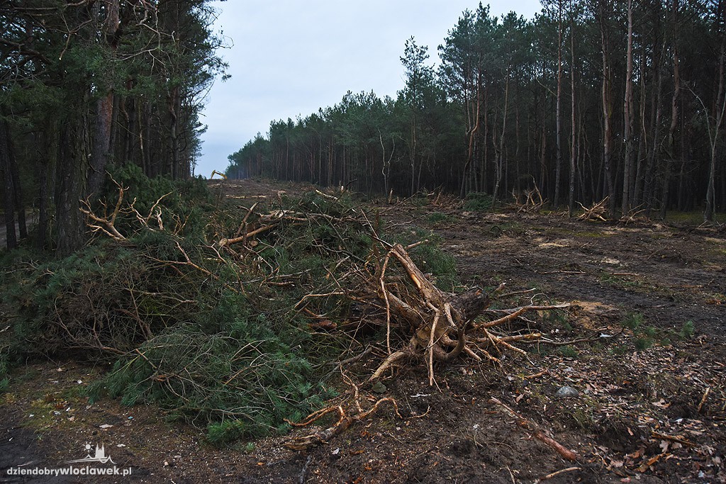 Ruszyła budowa przedłużenia Brzezinowej