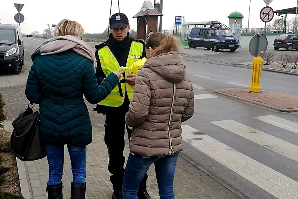 Piesi na celowniku policjantów
