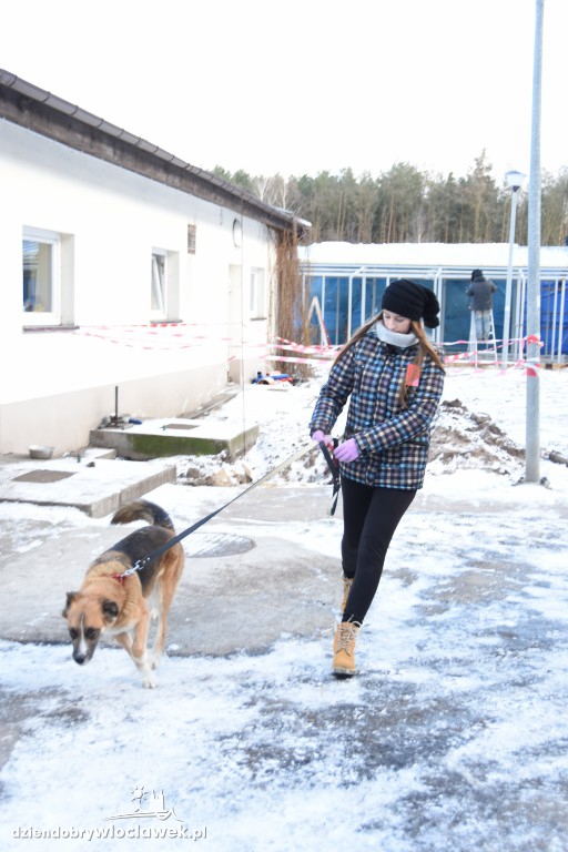 Koszykarze z wizytą w schronisku