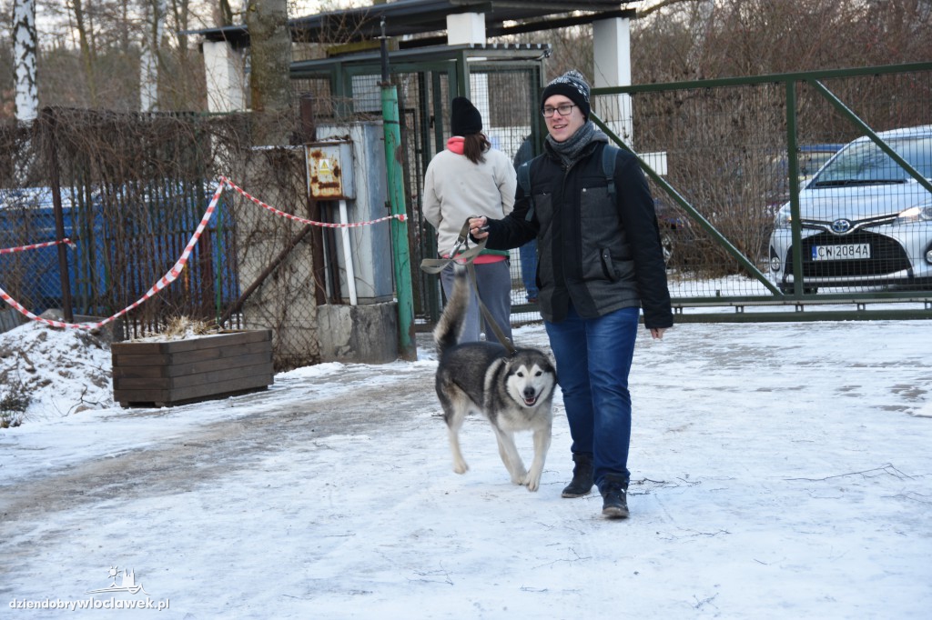 Koszykarze z wizytą w schronisku