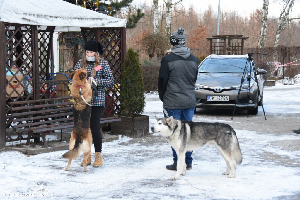 Koszykarze z wizytą w schronisku