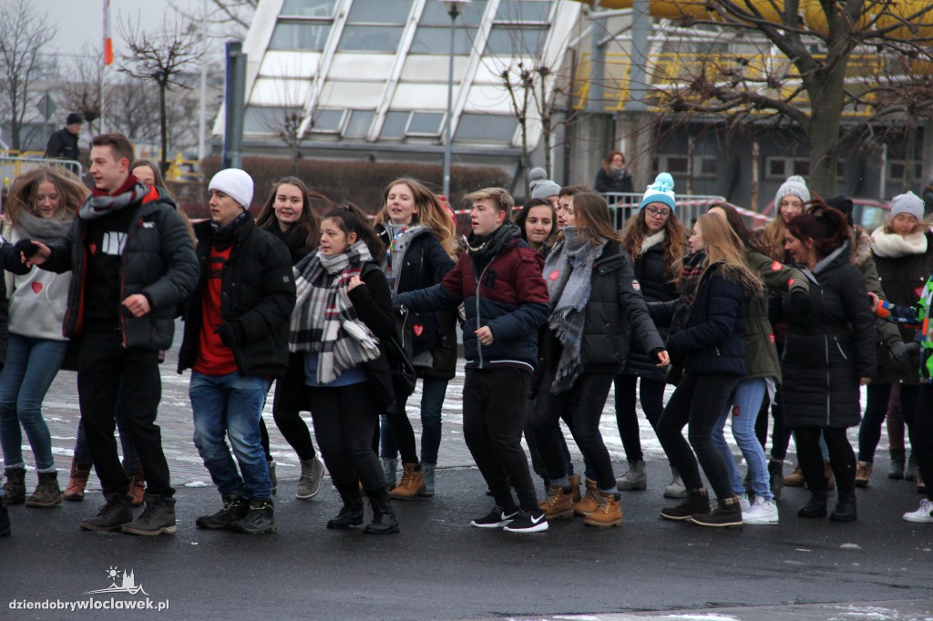 Próba pobicia rekordu Polski w belgijce