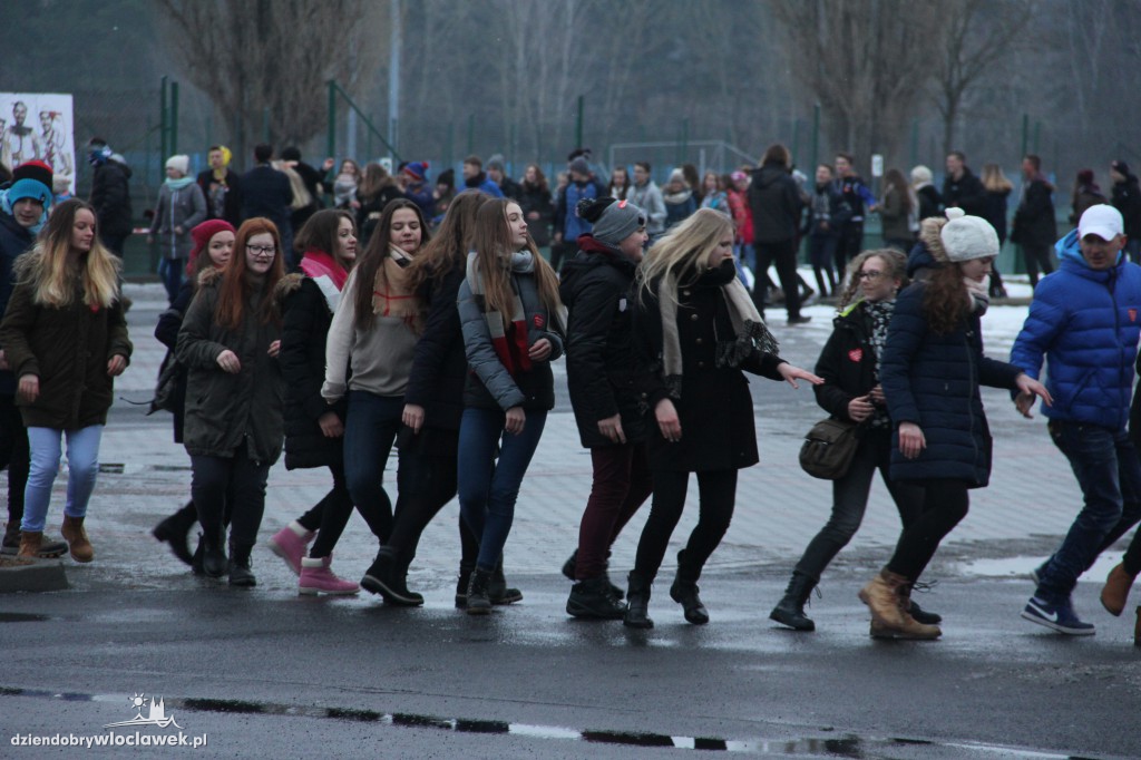 Próba pobicia rekordu Polski w belgijce