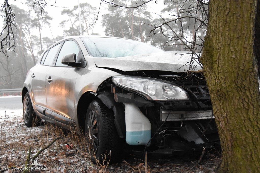 Na DK nr 91 auto uderzyło w drzewo