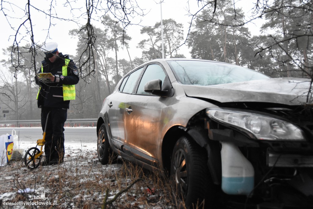 Na DK nr 91 auto uderzyło w drzewo