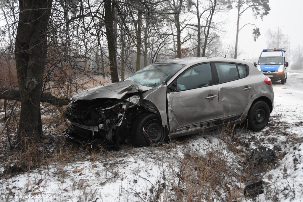Na DK nr 91 auto uderzyło w drzewo