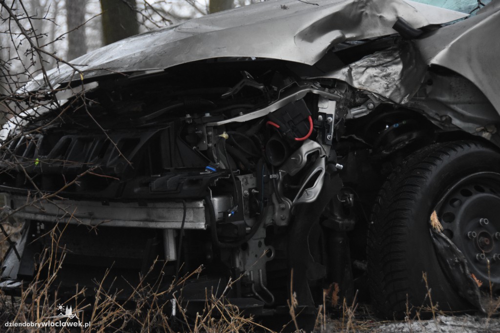 Na DK nr 91 auto uderzyło w drzewo