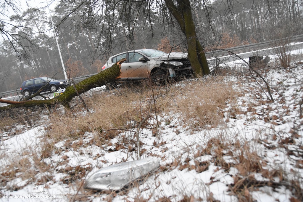 Na DK nr 91 auto uderzyło w drzewo