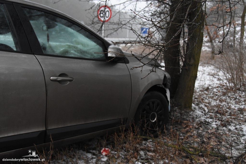 Na DK nr 91 auto uderzyło w drzewo