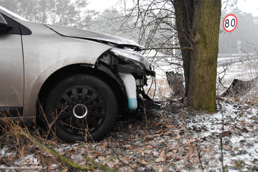 Na DK nr 91 auto uderzyło w drzewo