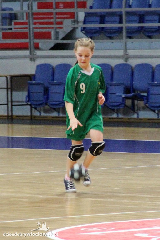 Liga wojewódzka handballu