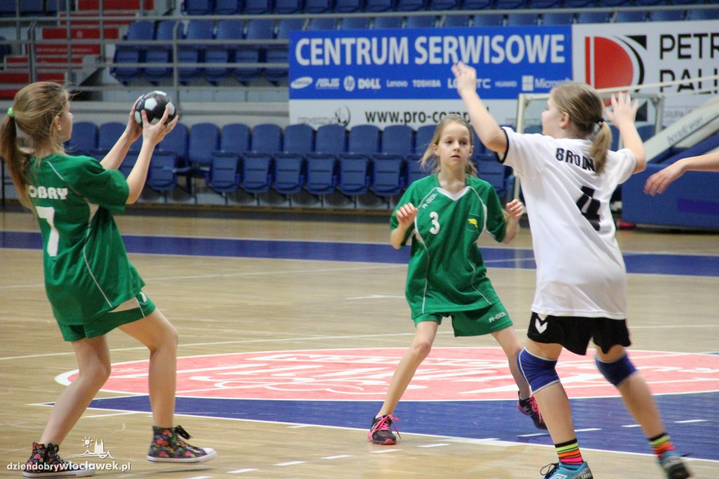 Liga wojewódzka handballu