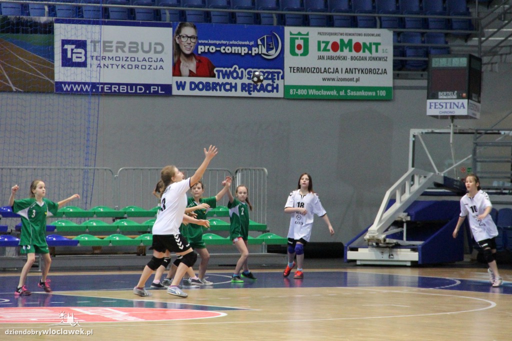 Liga wojewódzka handballu
