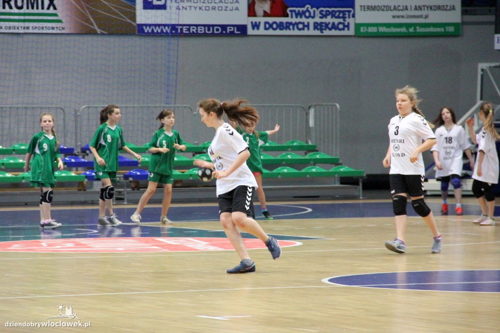 Liga wojewódzka handballu