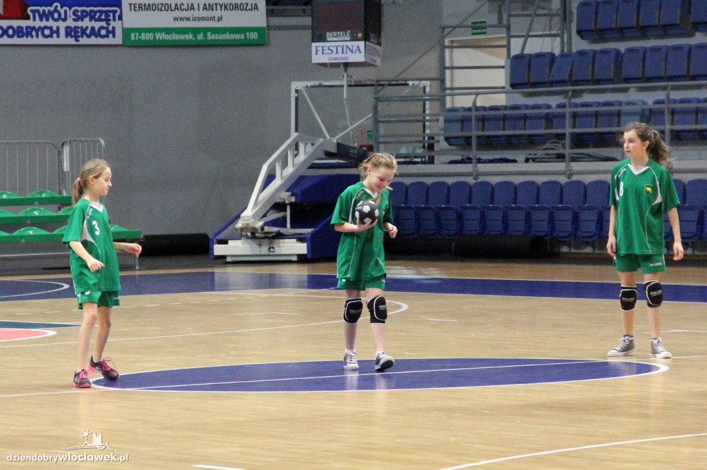 Liga wojewódzka handballu
