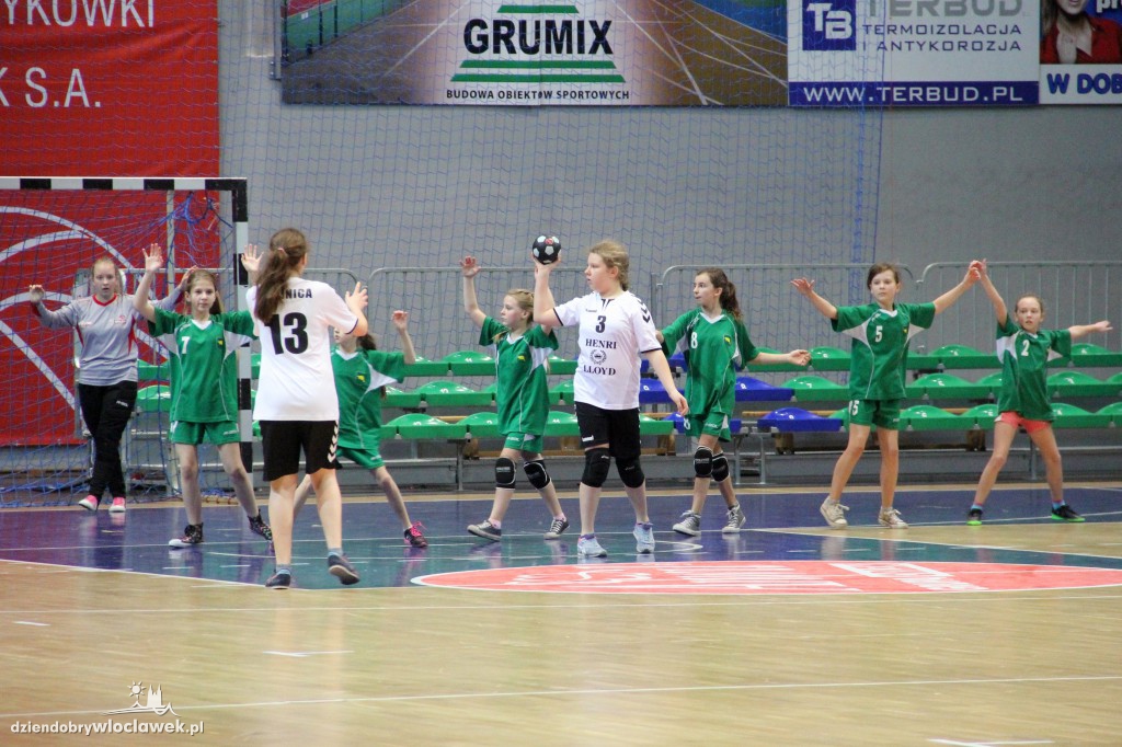 Liga wojewódzka handballu