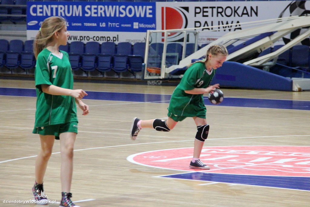 Liga wojewódzka handballu