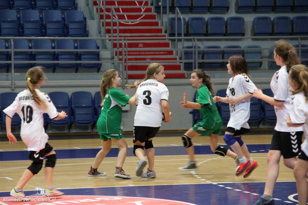 Liga wojewódzka handballu