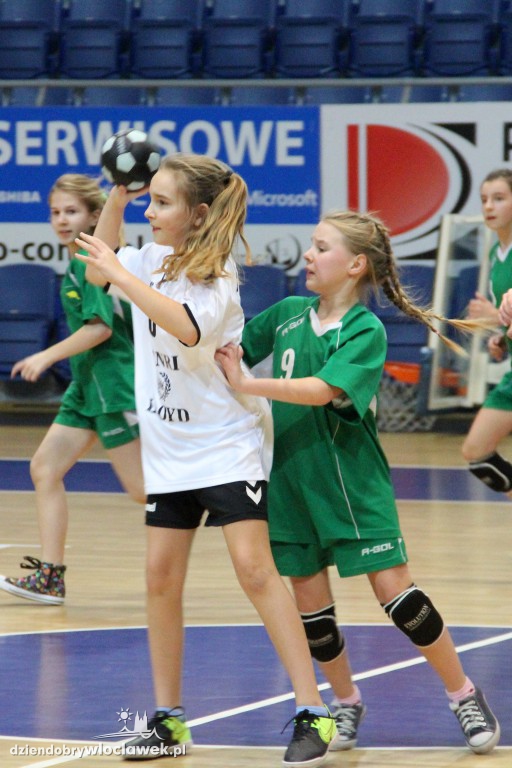 Liga wojewódzka handballu