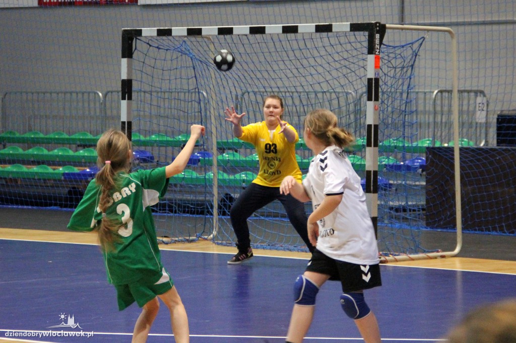 Liga wojewódzka handballu