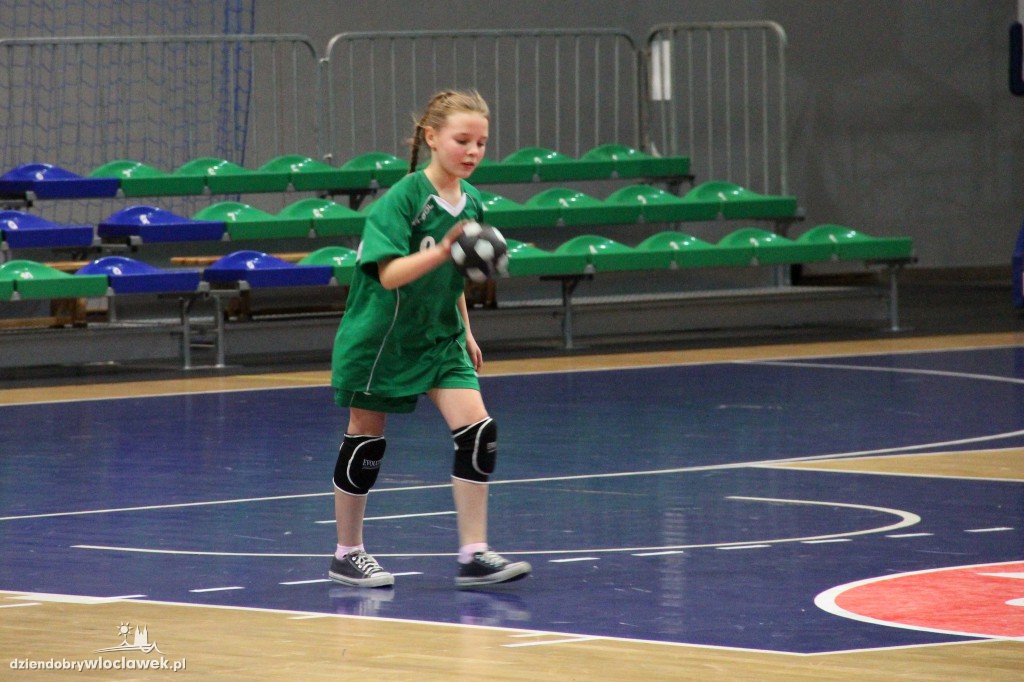Liga wojewódzka handballu
