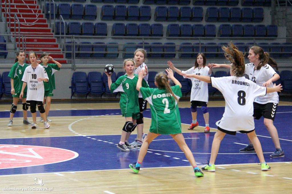 Liga wojewódzka handballu