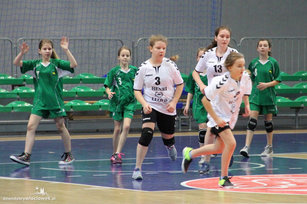 Liga wojewódzka handballu