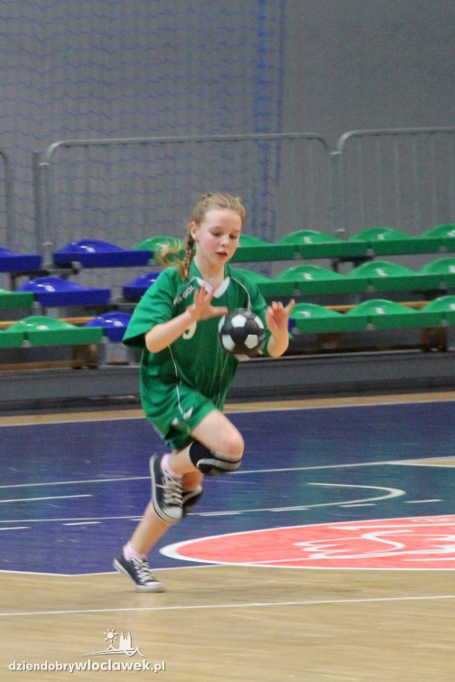 Liga wojewódzka handballu