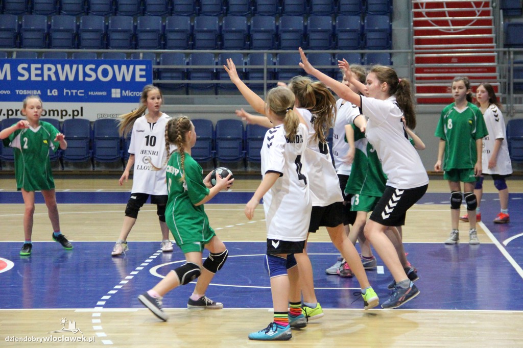 Liga wojewódzka handballu