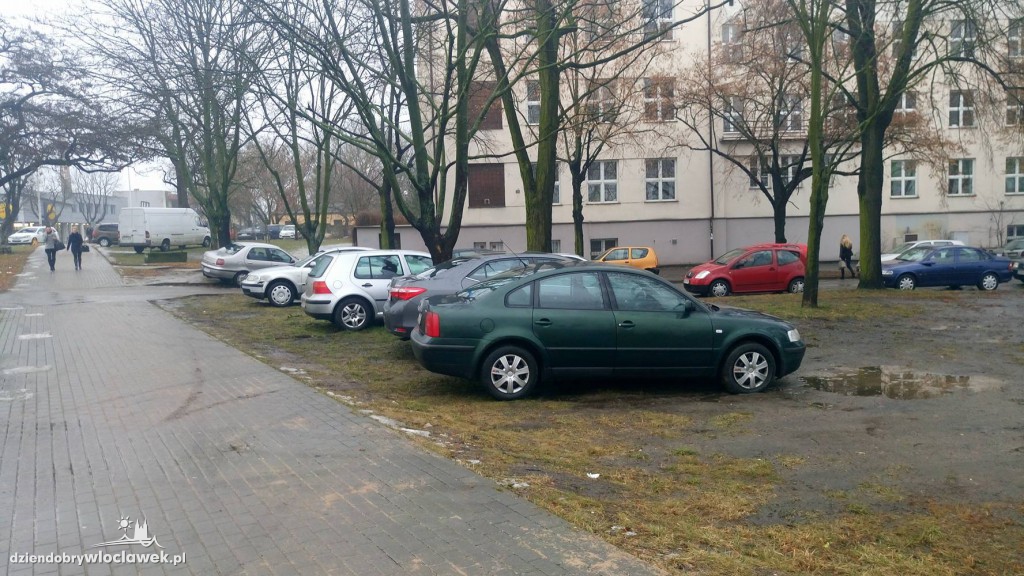 Plaga źle zaparkowanych aut pod KSW