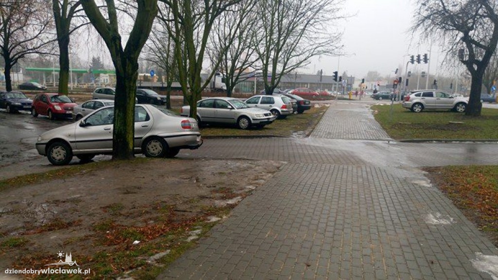 Plaga źle zaparkowanych aut pod KSW