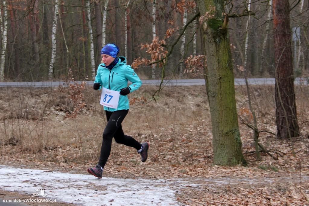 I etap Vladislavia Cross: Las zimą