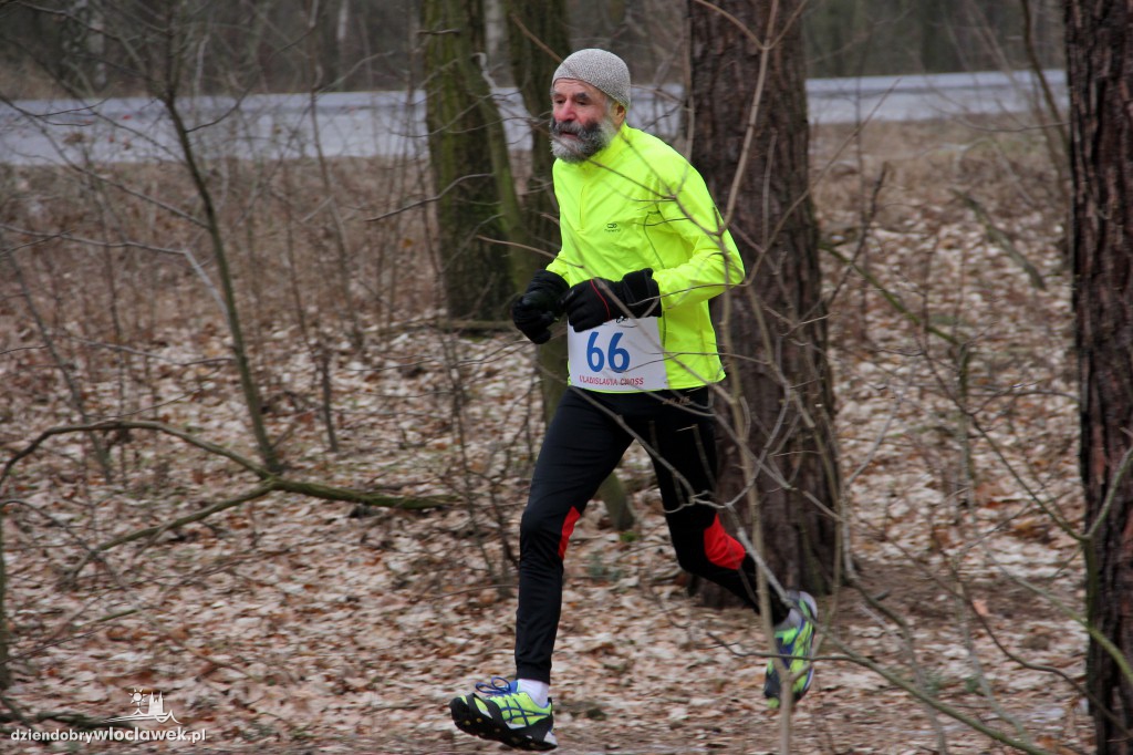 I etap Vladislavia Cross: Las zimą